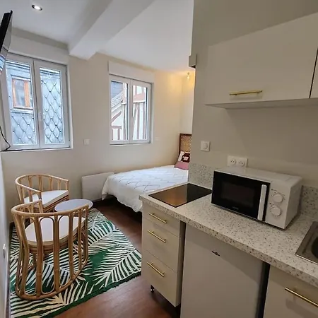 Appartement Le Petit écureuil Hypercentre Rouen