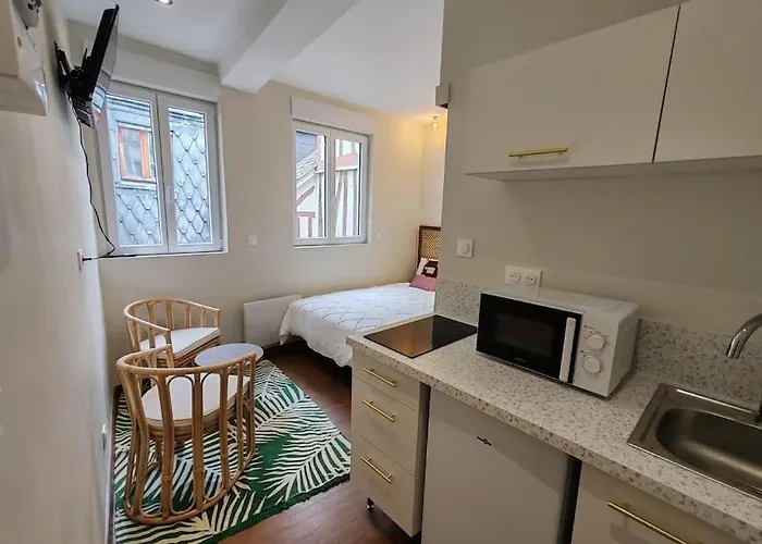 Apartment Le Petit Ecureuil Hypercentre Rouen